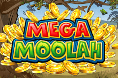 Mega Moolah slot game thumbnail
